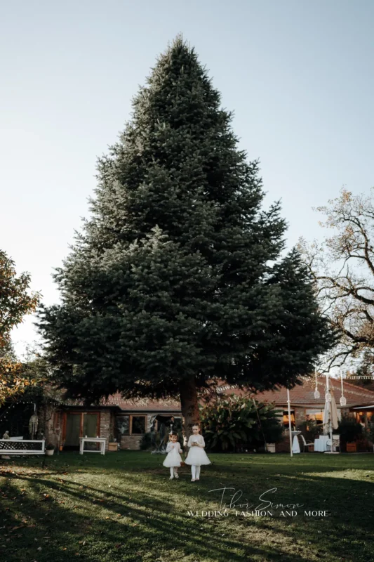 Polgári szertartás fotózása Sopronban